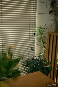 aluminiowa 50 mm 19(www)