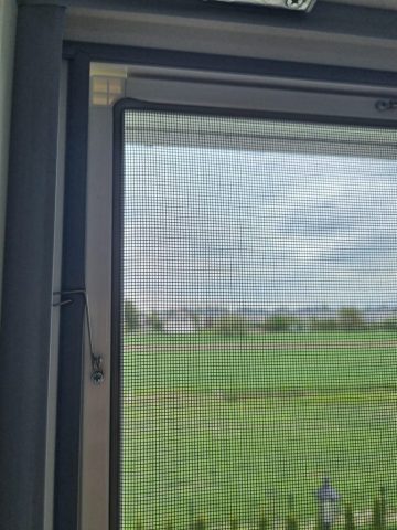 Moskitiera ramkowa widok od wewnątrz Moskitiera ramkowa widok od wewnątrz